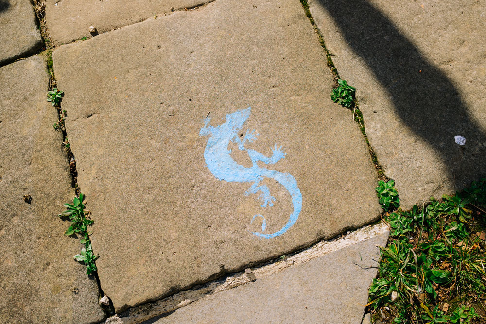 Asteasu Camino del Lagarto